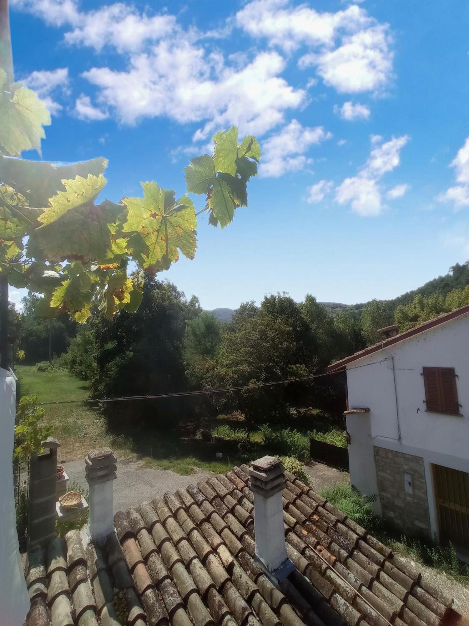 Dulcius Ex Asperis Bed & Breakfast Ponte Nizza Екстер'єр фото